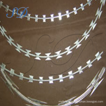 Anping Factory High Quality Concertina Barbed Wire Razor Wire Supplier